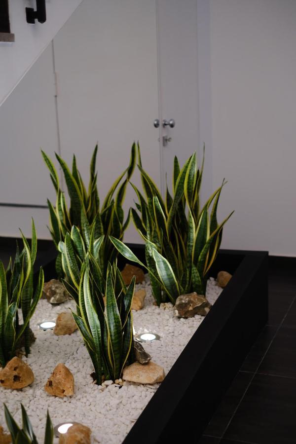 Domea Superior Rooms Bed And Breakfast Reggio di Calabria Luaran gambar